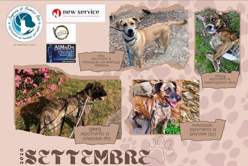 Copertina settembre