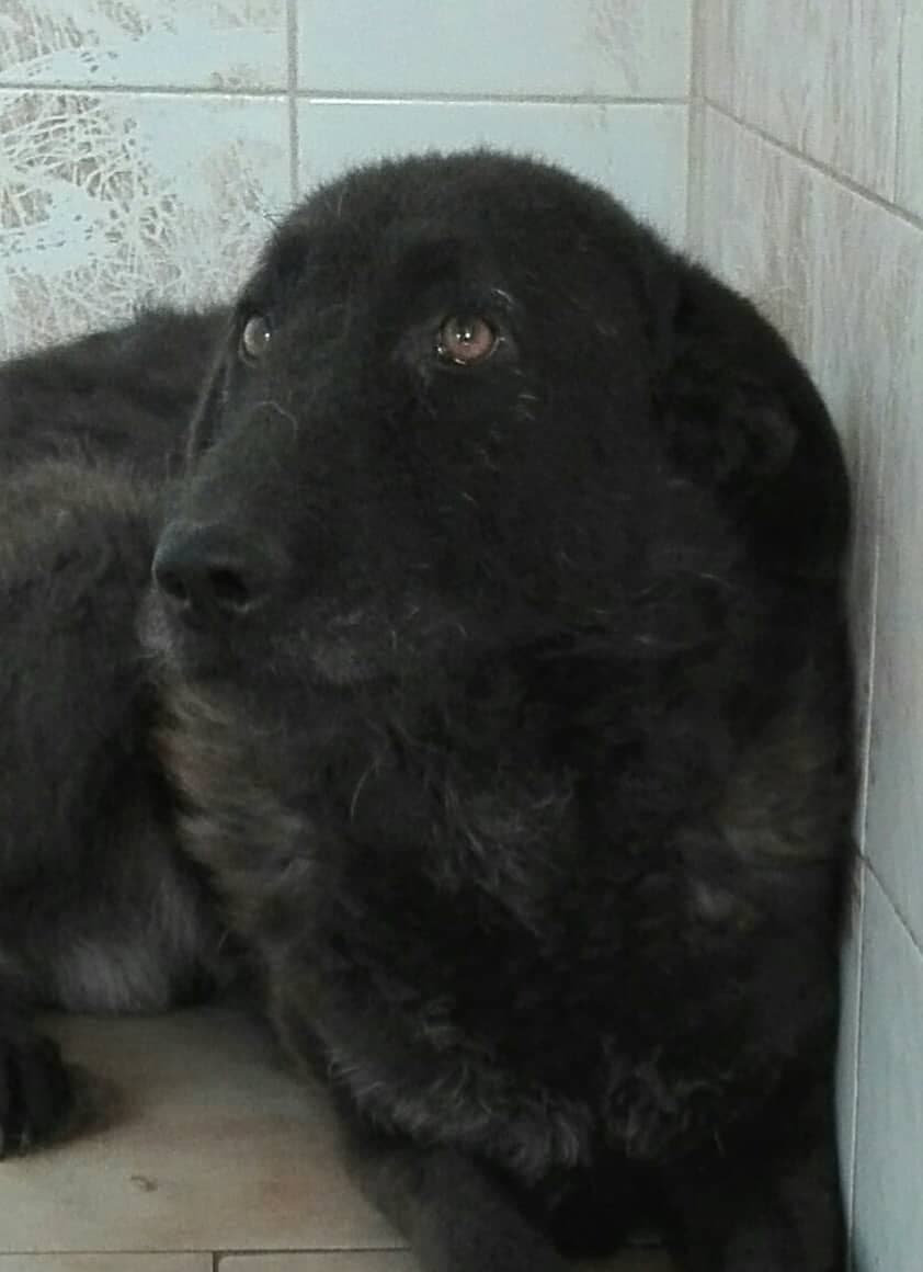 Il canale dove fu trovato Nemo