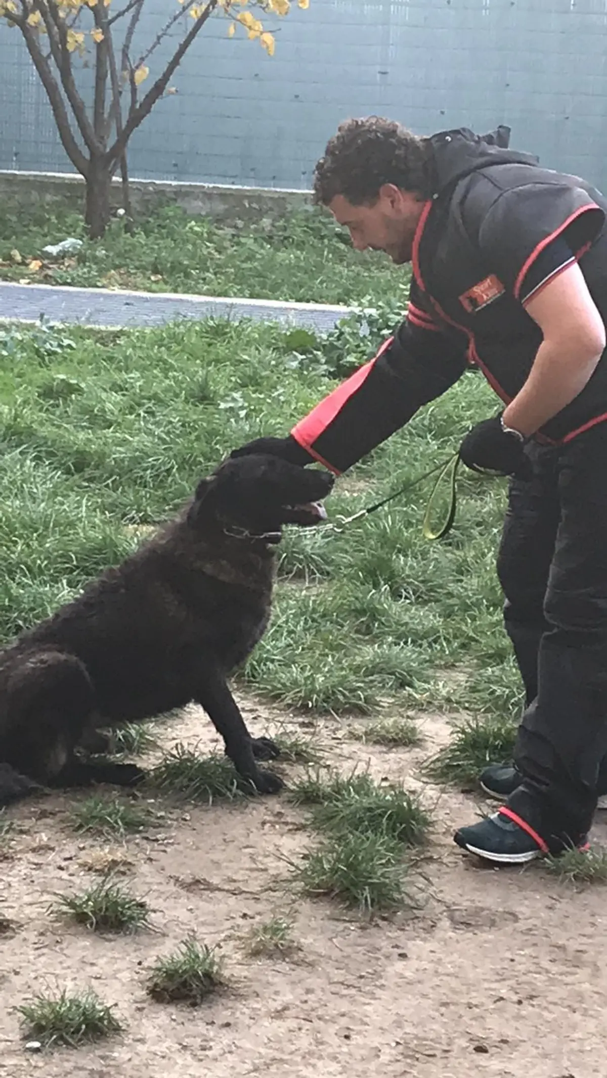 Beppe e Nemo durante il training