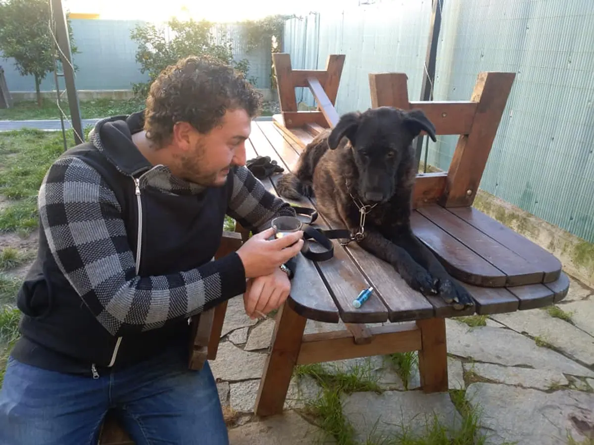 Nemo impara a fidarsi